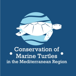 Increased sample size provides novel insights into population structure of Mediterranean loggerhead sea turtles