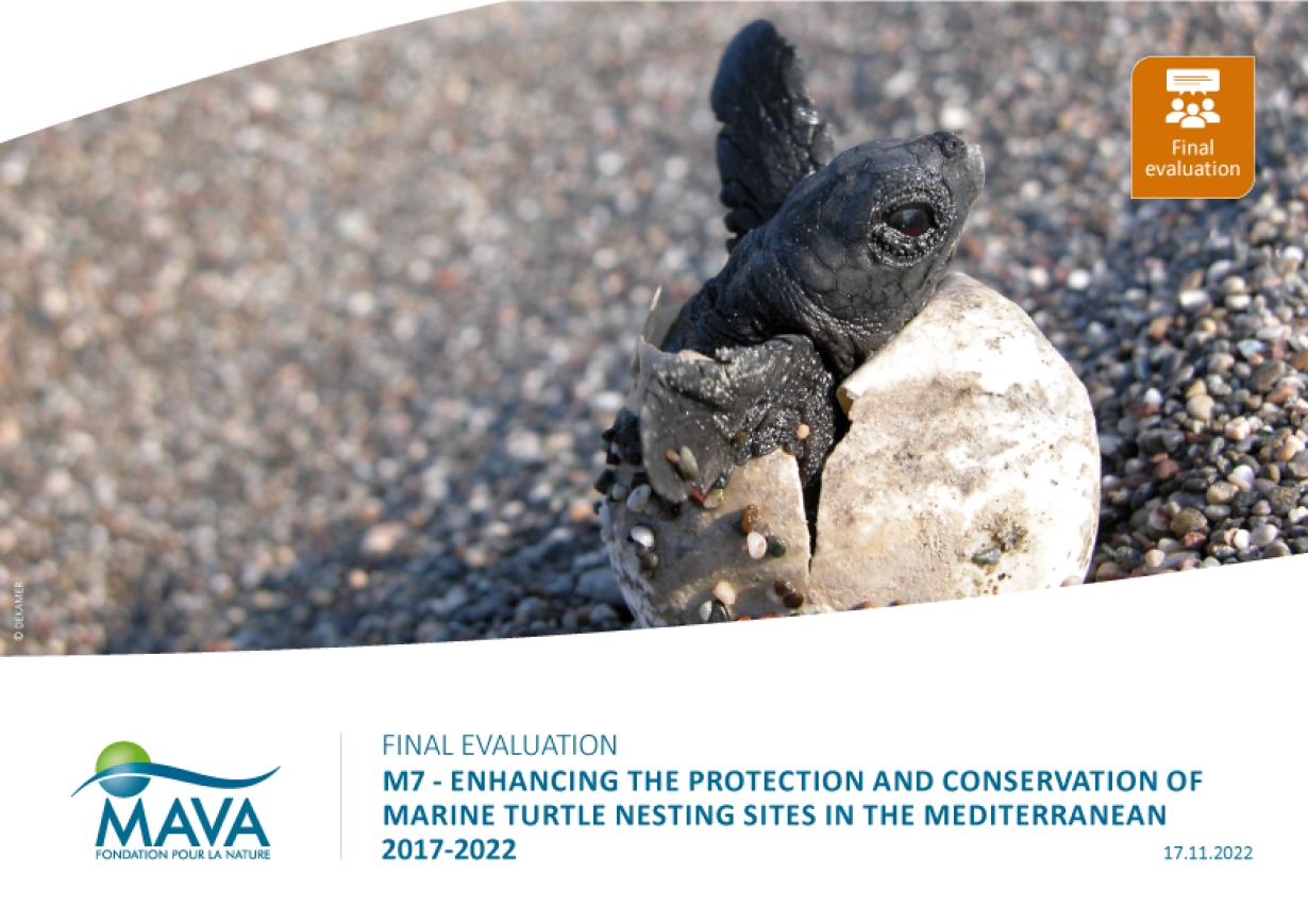 Enhancing the protection and conservation of marine turtle nesting sites in the Mediterranean 2017-2022_Final Evaluation