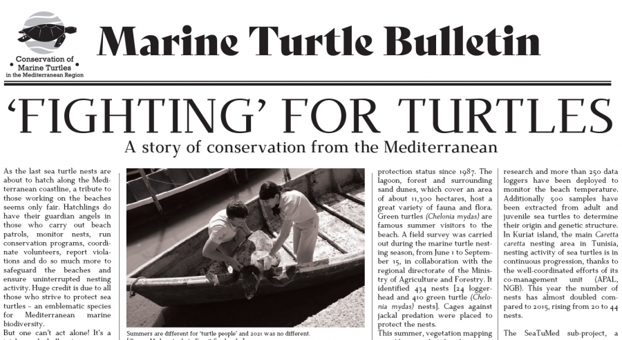 Marine Turtle Bulletin