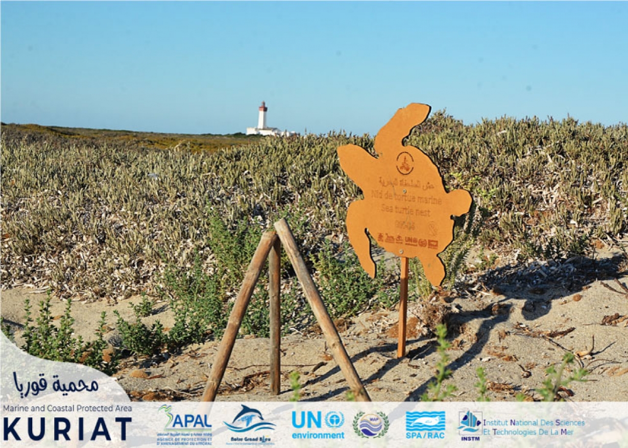 Kuriat islands – Monastir: The success story of co-management for a future MPA (Marine Protected Area)