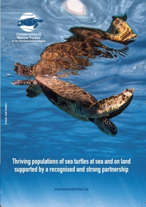 Conservation of Marine Turtles in the Mediterranean Region Leaflet_ MAVA Donors Fair