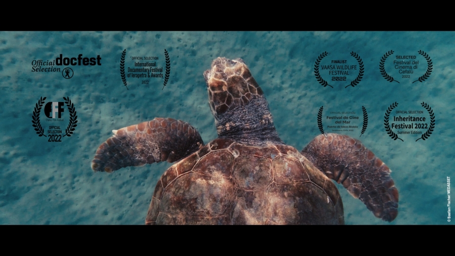 My Name is Blue: Award-Winning Documentary Now Ava...